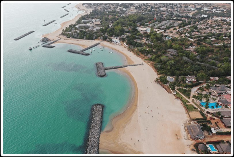 Saly