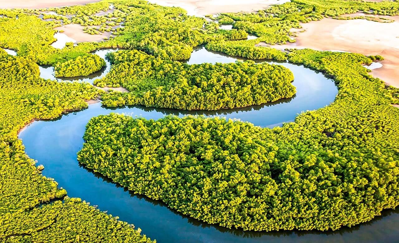 Sine-Saloum